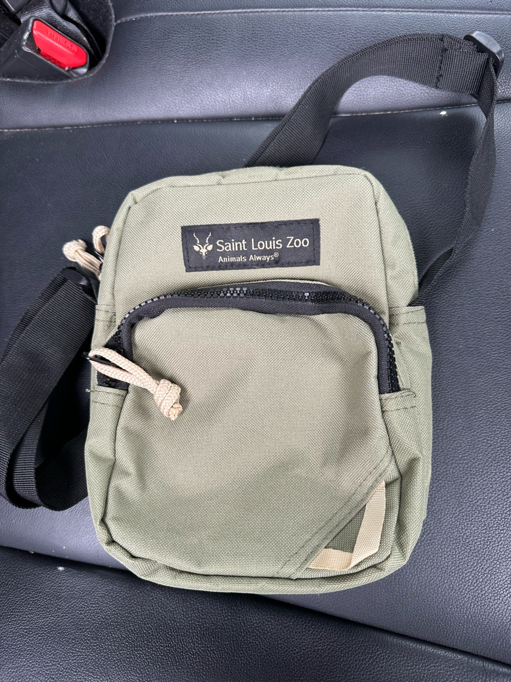 Saint Louis Crystal Olive Green Sling Bag